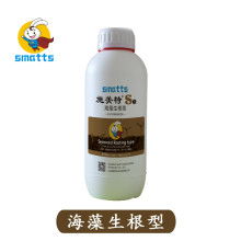 永寧鴻源管業 探索生物質能技術服務的綠色發展之路