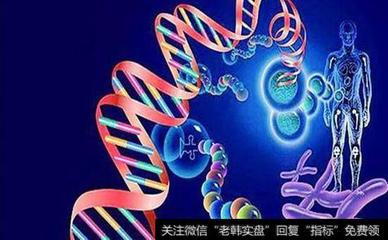 基因檢測(cè)概念股受關(guān)注，第二批示范中心方案獲發(fā)改委批復(fù)