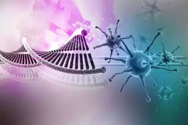 基因檢測(cè) 定義、意義與適用人群